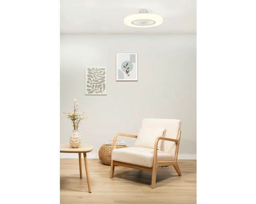 Woonkamer met plafondventilator, fauteuil en decoratie