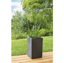 Bloemen in een vierkante plantenbak buitenshuis