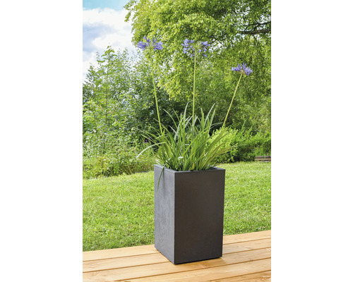 Bloemen in een vierkante plantenbak buitenshuis