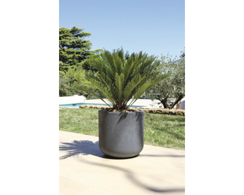 Plantenbak met sierplant buiten