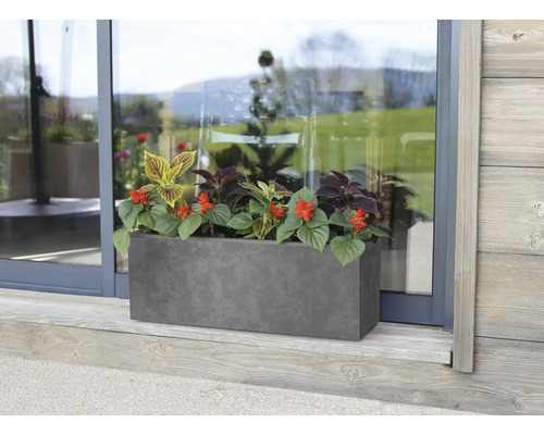 Rechthoekige plantenbak met bloemen voor een glazen deur