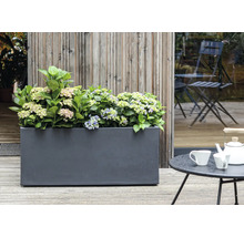 Bloembak met hortensia's op een terras