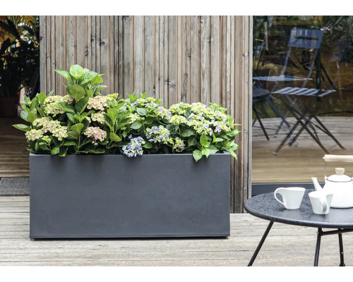 Bloembak met hortensia's op een terras