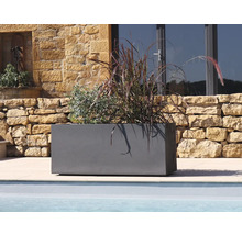 Rechthoekige plantenbak met beplanting in de buitenruimte.