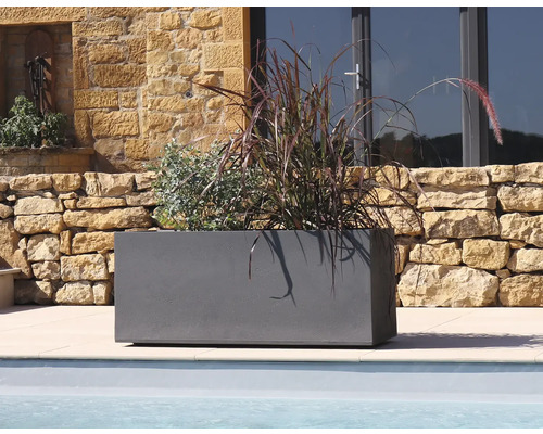 Rechthoekige plantenbak met beplanting in de buitenruimte.