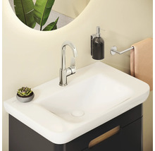 Badkamer wastafel met kraan, zeepdispenser, handdoekhouder en plant