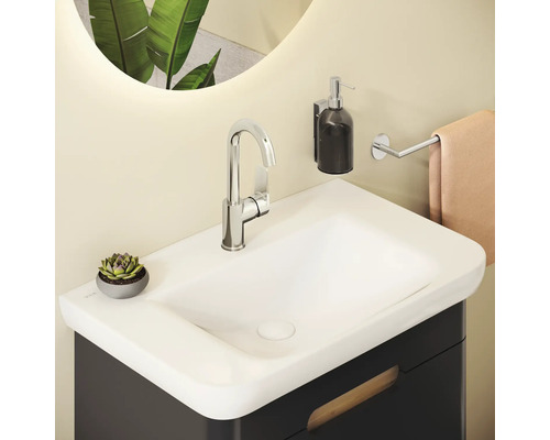 Badkamer wastafel met kraan, zeepdispenser, handdoekhouder en plant