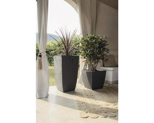 Decoratieve opstelling met twee planten in grijze plantenbakken op een terras