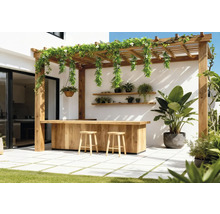 Buitenkamer met houten pergola, bar en krukken en beplanting.
