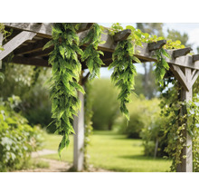 Decoratieve kunstvarens op een houten boog in de tuin.