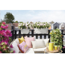 Balkonscène met bloembakken, kussens en decoratie op een balkon.