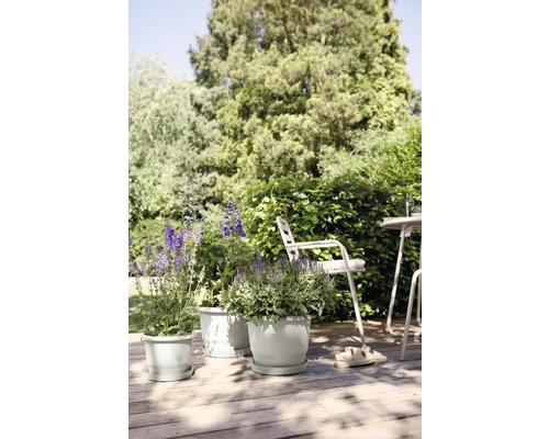 Tuinscene met bloemen in plantenbakken op een houten terras