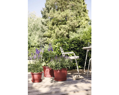 Terrasscène met bloempotten en tuinmeubelen