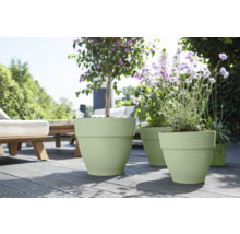 Scene met beplante plantenbakken op een terras