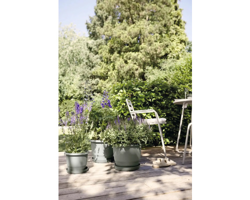 Tuinzicht met bloemen in bloempotten op een houten terras