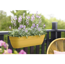 Gele bloembak met lila bloeiende planten op een balkon.