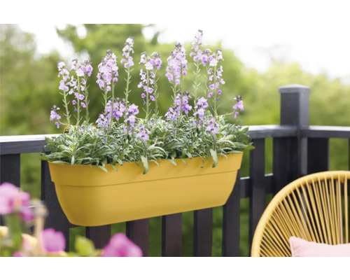 Gele bloembak met lila bloeiende planten op een balkon.