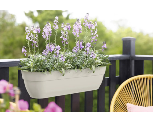 Bloembak met paars bloeiende bloemen op een balkonreling