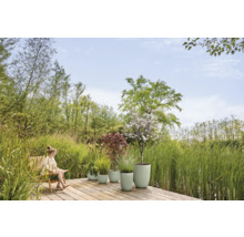 Tuinlandschap met beplante plantenbakken op een houten terras