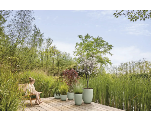 Tuinlandschap met beplante plantenbakken op een houten terras