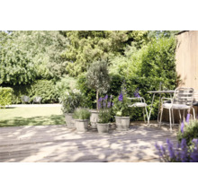 Tuin met planten in bloempotten op een houten terras en een zitgroep