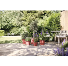 Tuinambiance met potplanten op houten terras en zitgroep