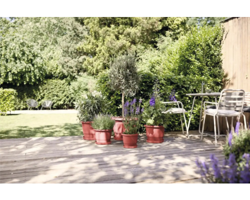 Tuinambiance met potplanten op houten terras en zitgroep