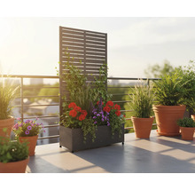 Terras met beplante privacyscherm en bloempotten