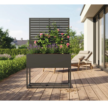 Hoge plantenbak met klimrek en beplanting op een terras
