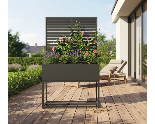 Hoge plantenbak met klimrek en beplanting op een terras