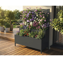 Gelaagde metalen plantenbak met klimrek en diverse planten op een terras.