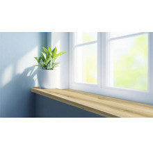 Decoratieve plaat als vensterbank met plant in pot voor een raam