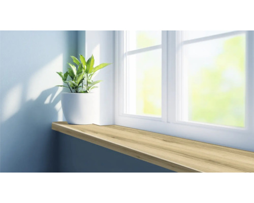 Decoratieve plaat als vensterbank met plant in pot voor een raam