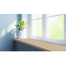 Vensterbank met potplant bij het raam