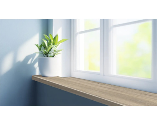 Vensterbank met potplant voor een raam