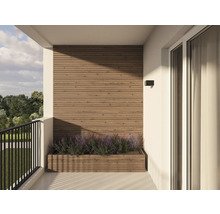 Balkon met houten lambrisering, bloembak en balustrade