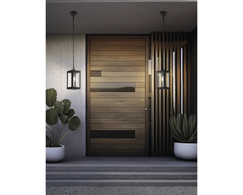 Entree met houten deur, planten in potten en twee hanglampen