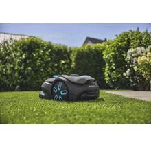 Gardena robotmaaier op gazon voor groene haag
