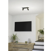 Plafondlamp met twee spots in een woonkamer met een televisie en planten.