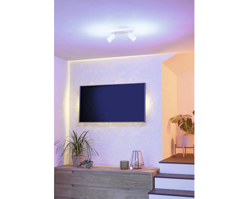 Woonkamer met plafondlamp, ladekast, televisie en planten.