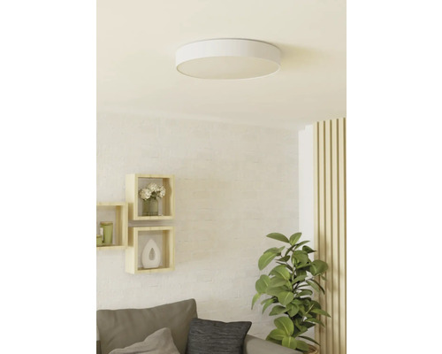 Plafondlamp in een lichte woonkamer met planken, bank en kamerplant