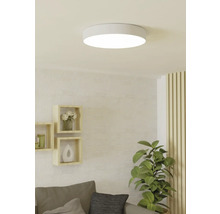 Plafondlamp in een lichte woonkamer met rekken en plant.