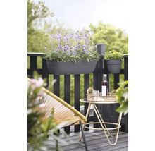 Balkonscène met beplante balkonbak en decoratie op een tafeltje.