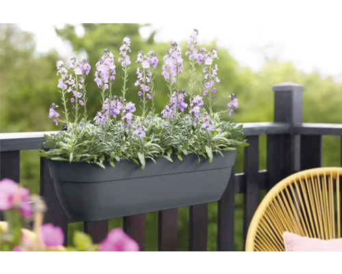 Balkonbak met bloeiende bloemen aan de reling