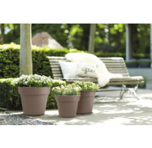 Drie plantenbakken met beplanting in de tuin