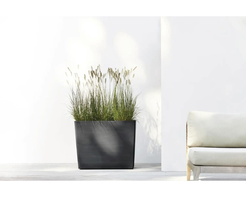 Moderne rechthoekige plantenbak met siergras op een licht terras naast een tuinmeubel.