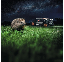 Egel in het gras met robotmaaier op de achtergrond onder de sterrenhemel