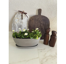 Ecopots plantenschaal met schotel en bloemen op een werkblad naast snijplanken en kruidenmolens.