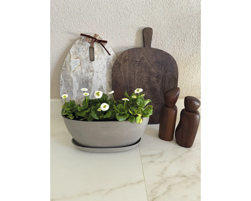 Ecopots plantenschaal met schotel en bloemen op een werkblad naast snijplanken en kruidenmolens.