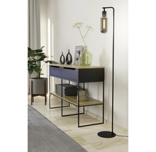 Modern interieur met ladekast, decoratie en staande lamp